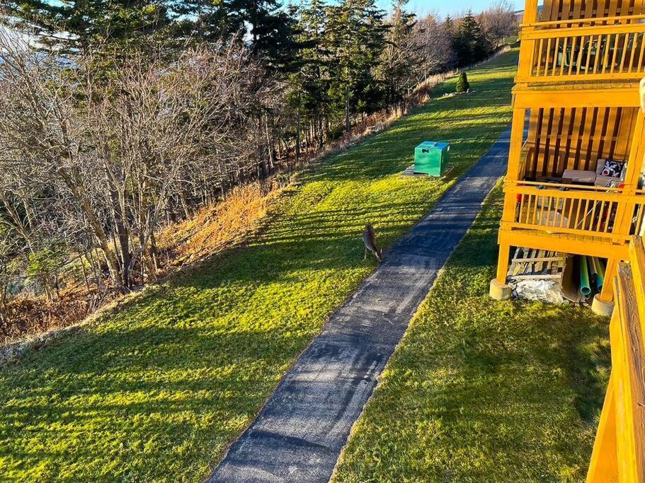 202D Summit - Completely Remodeled Modern Condo In Summit! Snowshoe Eksteriør bilde