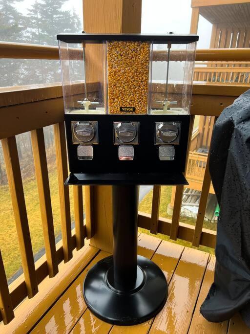 202D Summit - Completely Remodeled Modern Condo In Summit! Snowshoe Eksteriør bilde