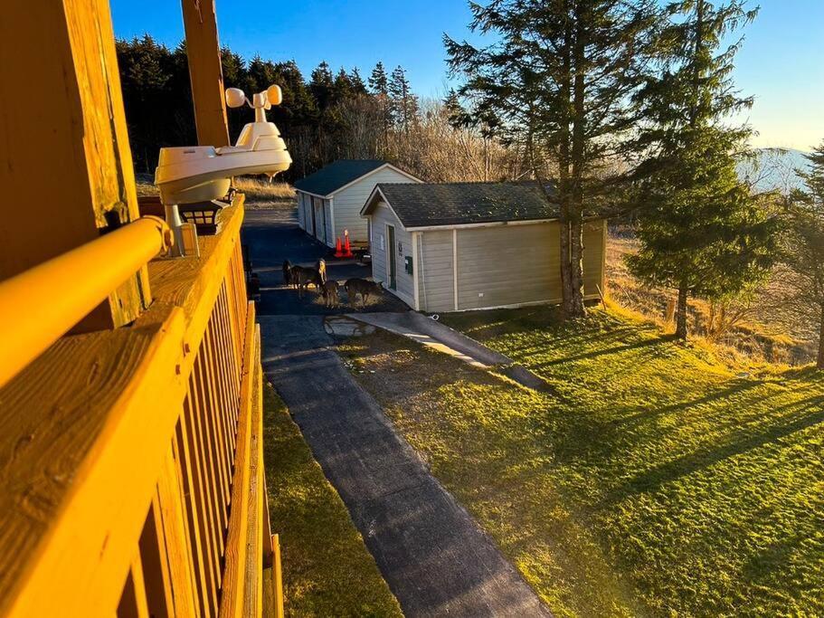 202D Summit - Completely Remodeled Modern Condo In Summit! Snowshoe Eksteriør bilde